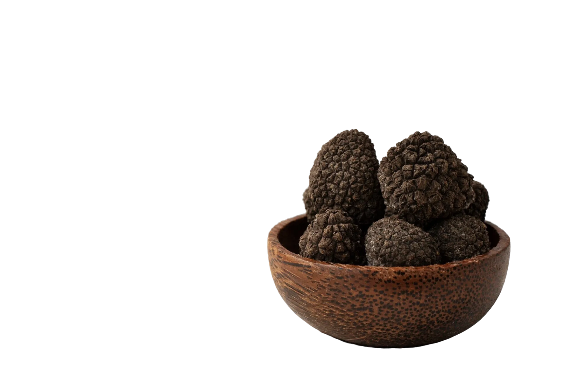 A Roseto Valfortore torna la sagra del tartufo: gusto e cultura nei Monti Dauni